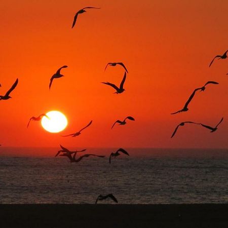 Serena Beach 3 Nazare Ngoại thất bức ảnh